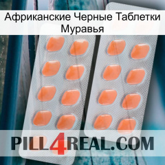 Африканские Черные Таблетки Муравья 27